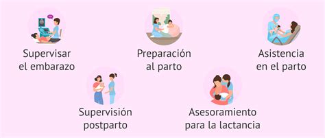 Esquema sobre las áreas de actuación de la matrona: embarazo, seguimiento del parto, cuidados posparto y educación sexual.