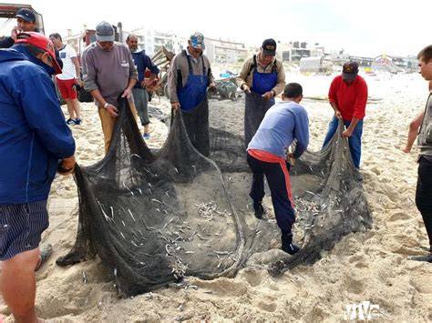Pescadores practicando el arte de la xávega en la Playa de Furadouro.