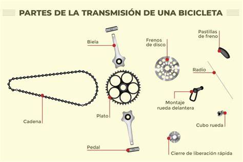 Esquema detallado de un cambio trasero de bicicleta con sus componentes principales