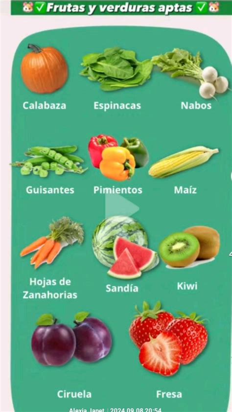 Ilustración de diferentes frutas y verduras aptas para bebés.