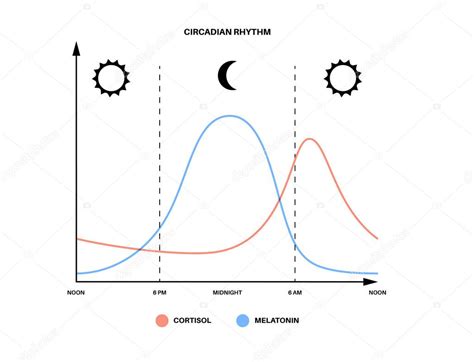 Gráfico comparativo del ritmo circadiano de la glucosa y la acción hormonal durante la noche y el amanecer