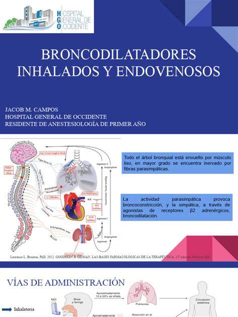 Esquema explicativo de la función de los broncodilatadores en las vías respiratorias de un neonato