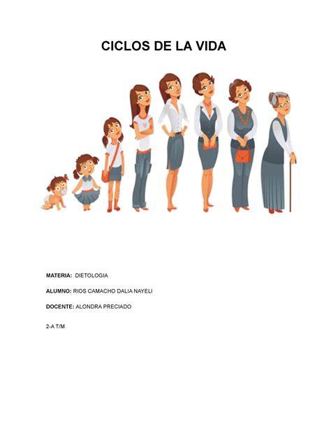 Infografía comparativa de los ciclos de vida lineal (de la cuna a la tumba) y circular (de la cuna a la cuna).