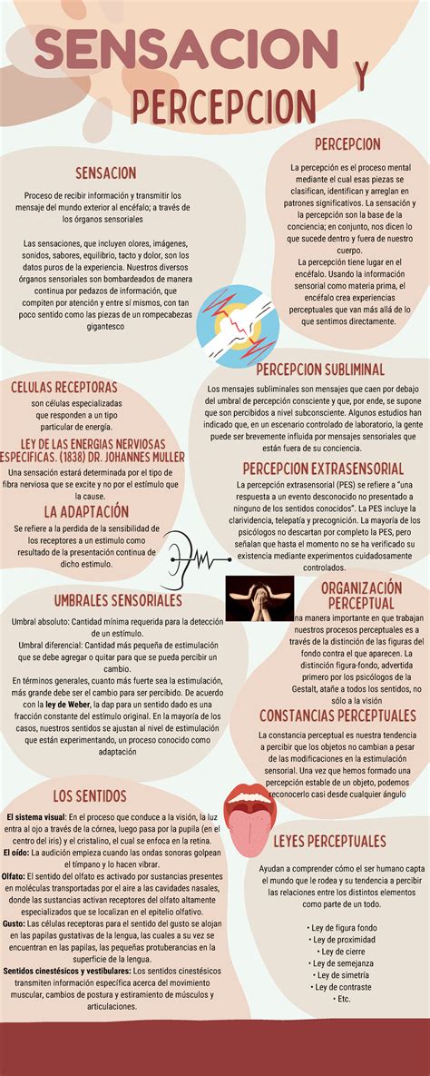 Infografía comparativa: Beneficios sensoriales del uso de luces y sonidos suaves en los primeros meses de vida