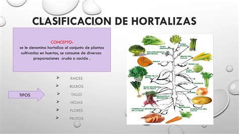 Tabla comparativa de dosis de abonos líquidos para diferentes tipos de plantas (flores, hortalizas, árboles)