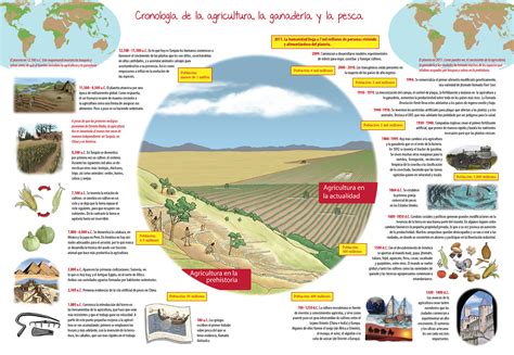 Esquema gráfico que ilustra la expansión de la agricultura y el desplazamiento de los sistemas ganaderos pastoriles hacia zonas con suelos más restrictivos.