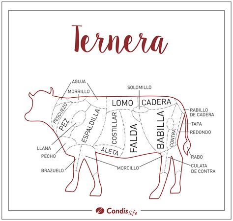 Infografía detallando los diferentes cortes de ternera y sus usos culinarios recomendados.