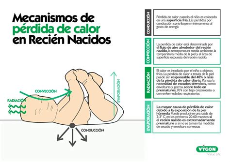 Diagrama que ilustra los cuatro mecanismos de pérdida de calor en recién nacidos: radiación, evaporación, conducción y convección.