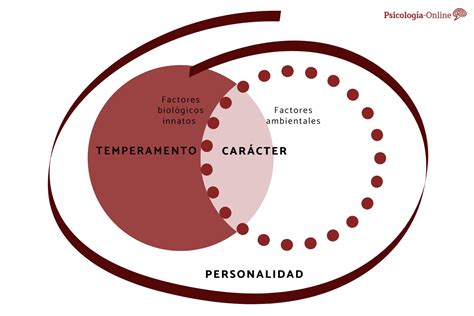 Diagrama simplificado mostrando la relación entre temperamento y personalidad a lo largo del tiempo.