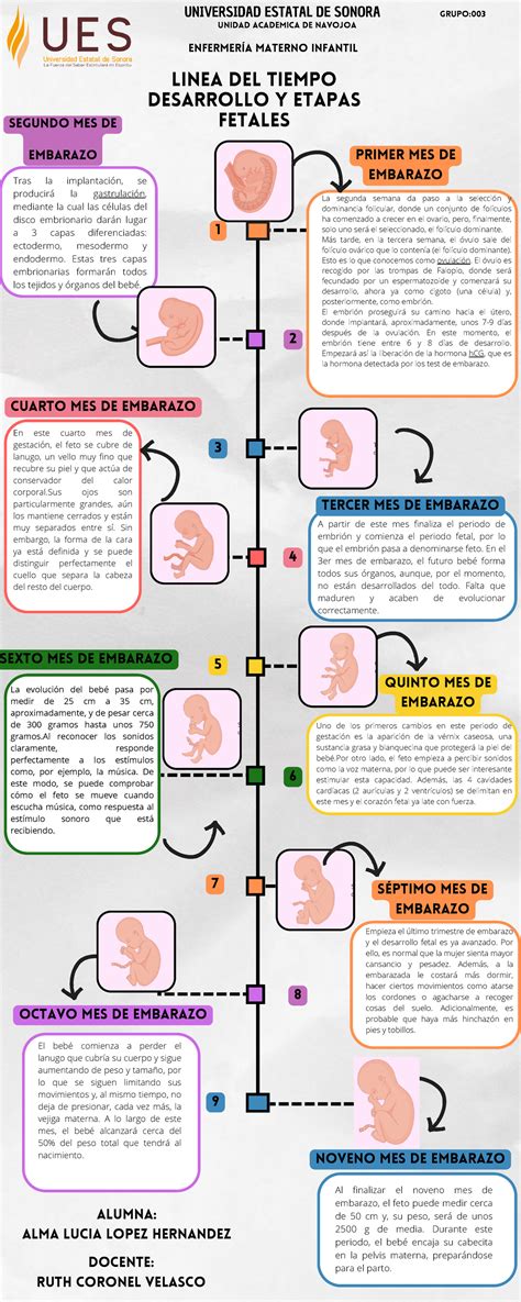Infografía con la línea de tiempo del embarazo y los riesgos del consumo de alcohol en cada etapa.