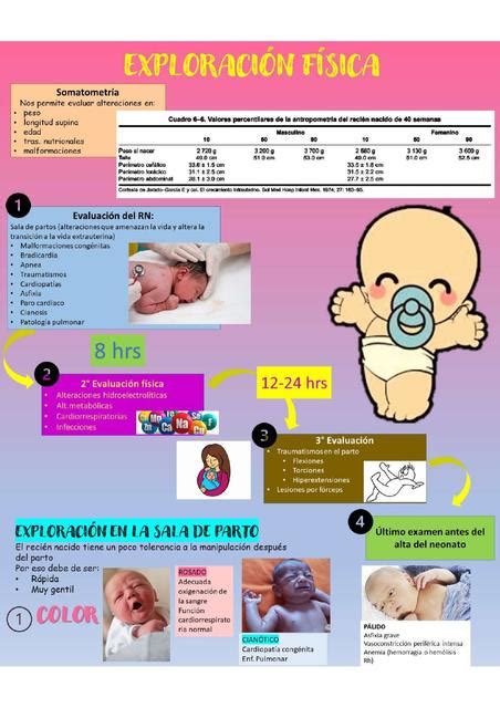 Infografía: Esquema de la exploración física rutinaria del recién nacido en la consulta de pediatría.