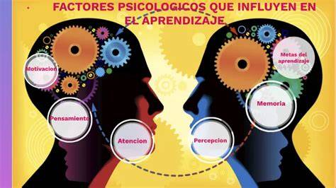 Infografía sobre los factores psicológicos y ambientales que afectan la madurez