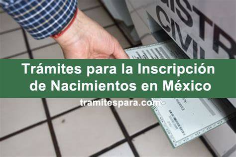 Procedimiento para la inscripción de nacimientos sin vida