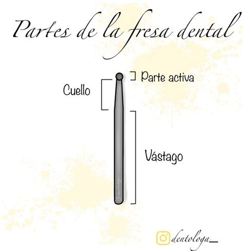 infografía explicando las partes de una fresa dental: vástago, cuello y parte activa