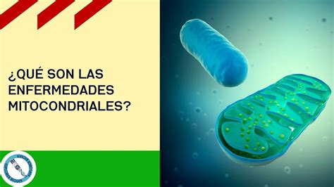 Infografía sobre los síntomas de las enfermedades mitocondriales
