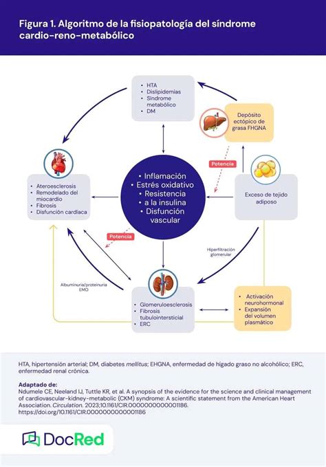 Diagrama explicativo de los mecanismos fisiológicos y metabólicos que predisponen a la hipoglucemia en prematuros tardíos.