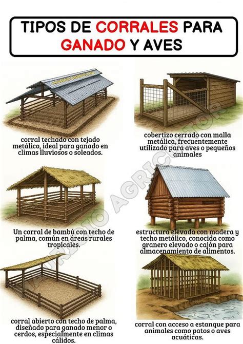 Diagrama mostrando la disposición ideal de un corral de partos con áreas separadas para calostro y animales en tratamiento.