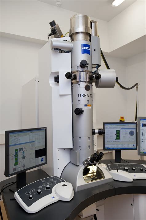 Microscopía electrónica de transmisión de fibroblastos, detallando su estructura interna.