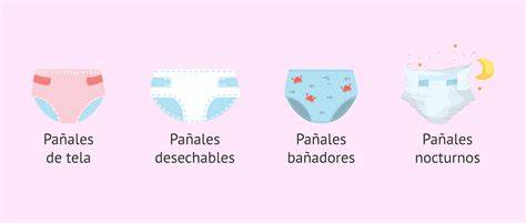 Infografía sobre los diferentes tipos de pañales (estándar, noche, bañador) y sus usos.