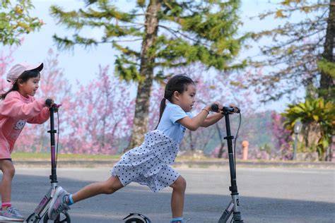 Niños felices montando patinetes de diferentes tipos en un parque