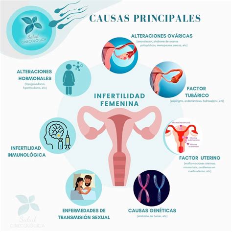 Esquema de las causas de la infertilidad femenina