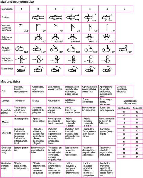 Tabla de componentes de la Nueva Escala de Ballard (neuromusculares y físicos)