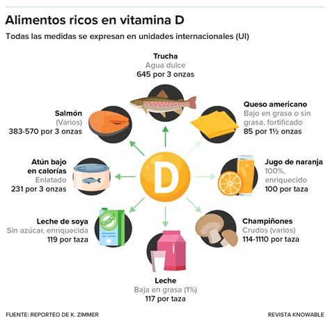 Infografía sobre fuentes alimentarias ricas en vitamina D y su importancia hormonal