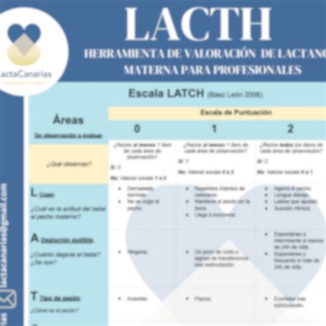 Infografía: opciones de tratamiento y lactancia en EM
