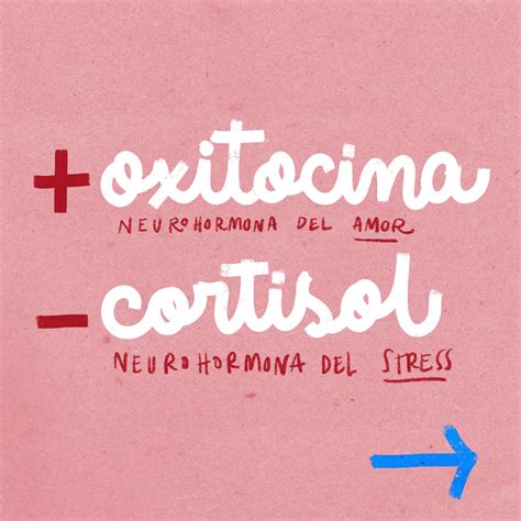 Infografía sobre los efectos hormonales positivos del colecho: oxitocina vs cortisol.