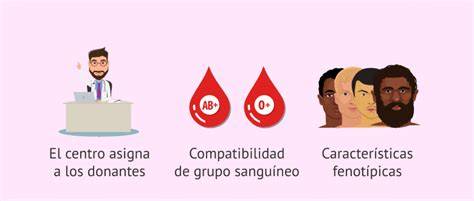 Infografía: Criterios de selección de donantes de semen