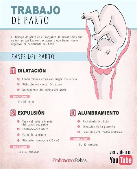 Esquema o infografía sobre las diferentes fases del parto y sus modalidades