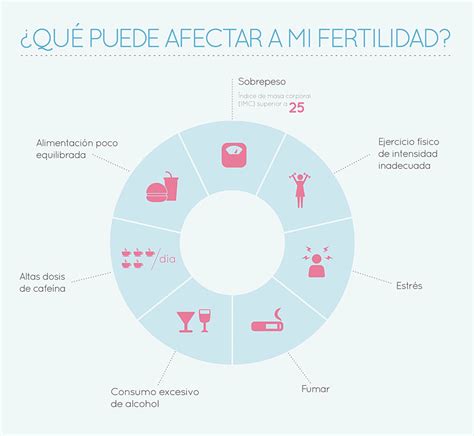 infografía sobre factores que afectan la fertilidad