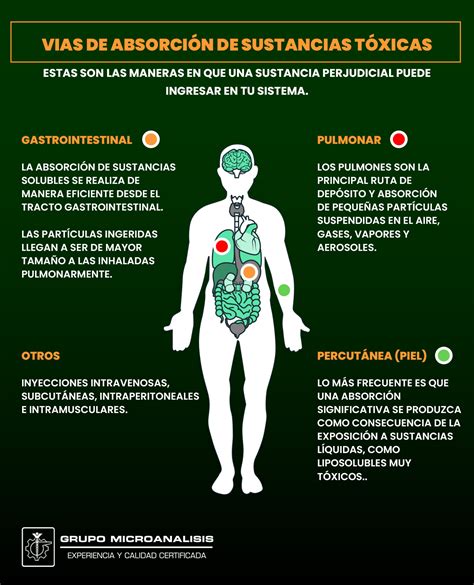 esquema de cómo los tóxicos afectan el cuerpo
