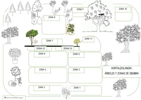 Diagrama de un huerto de avellanos con la distribución estratégica de variedades polinizadoras