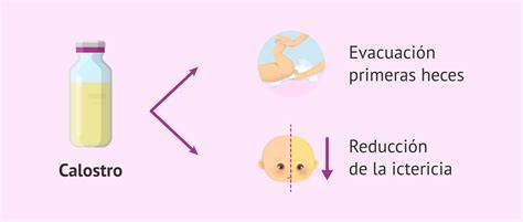 Esquema ilustrativo de cómo se realiza un test de calostro en campo para equinos