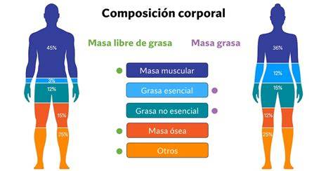 Gráfico mostrando los cambios porcentuales en la composición corporal (masa grasa, masa libre de grasa, agua) a lo largo de la vida, desde el nacimiento hasta la adolescencia.