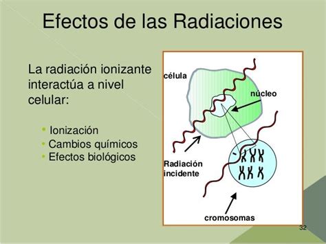 Esquema de la interacción de la radiación ionizante con las células y sus efectos en el ADN
