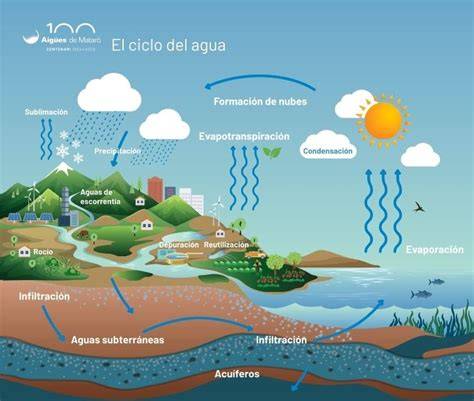 Esquema ilustrativo del simbolismo del agua en el mundo de los sueños, conectando el líquido amniótico con el nacimiento y la psique humana.