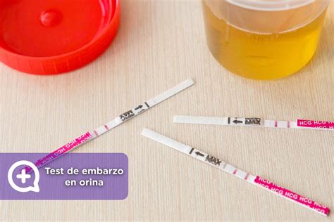 Infografía detallando los pasos para realizar una prueba de embarazo casera, con énfasis en la aplicación de la orina y la lectura del resultado.