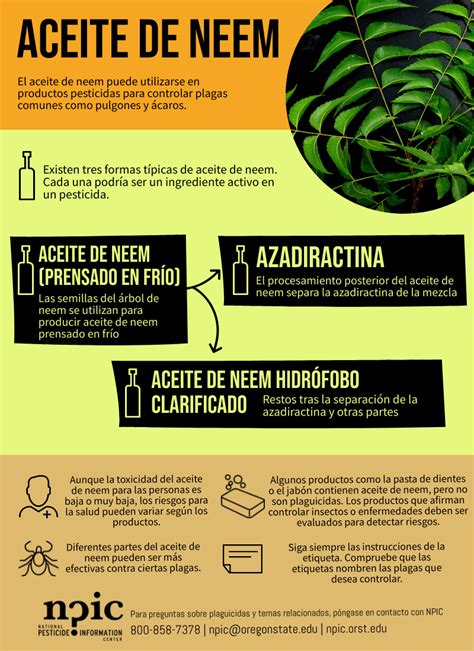 Esquema de las propiedades y usos del aceite de neem