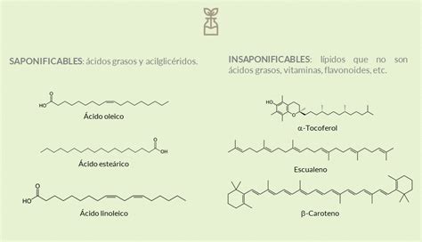 Diagrama mostrando la estructura molecular del aceite de coco y comparando su punto de fusión con otros aceites.