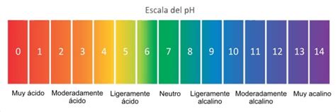 Esquema de la escala de pH comparando el agua potable neutra con el agua alcalina y otros líquidos comunes.