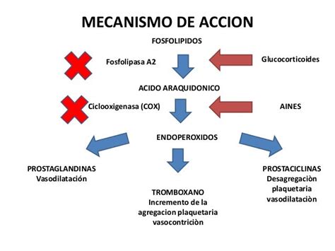 Esquema de las vías de acción de los antiinflamatorios no esteroideos (AINEs)