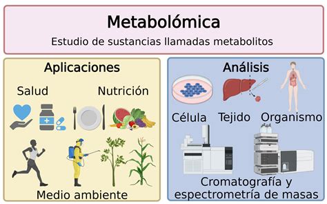 Esquema de las técnicas de proteómica: fosfoproteómica, expresión de proteínas y metabolómica para el estudio celular