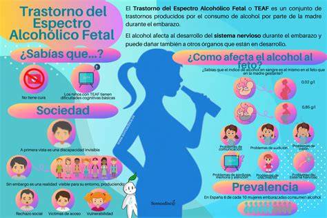 Infografía sobre los efectos del Síndrome de Alcoholismo Fetal