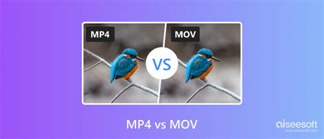 Esquema comparativo de compatibilidad de formatos MOV vs MP4