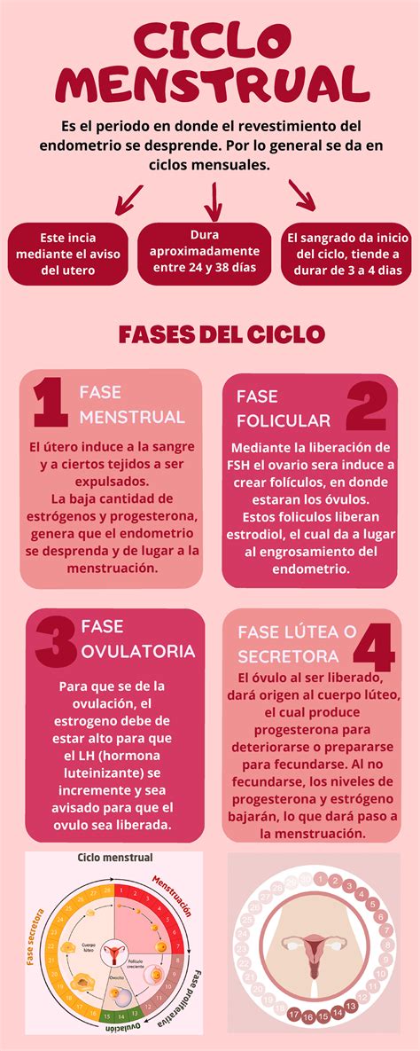 Infografía: Ciclo menstrual y la ventana de implantación; representación de una ventana de implantación desplazada frente a una normal.