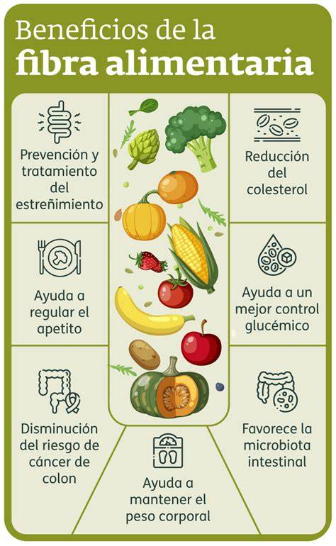Gráfico comparativo: impacto de diferentes niveles de fibra en la salud intestinal del gazapo
