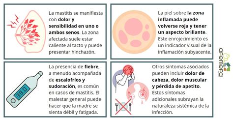 Ilustración mostrando las áreas afectadas por la mastitis y las zonas de aplicación de compresas tibias.