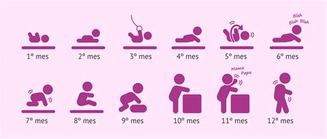 Esquema visual del desarrollo del sostén cefálico mes a mes en un bebé